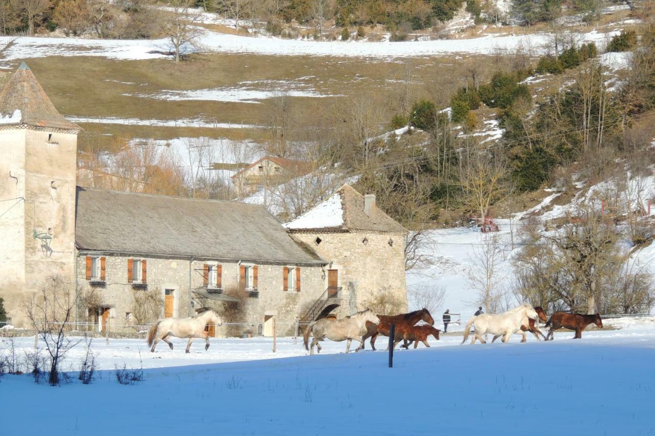 Le Colombier Bed and Breakfast Glandage Eksteriør billede